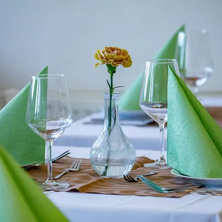Ermi Hotel Jince