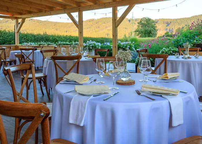 Hotel Ermi Jince